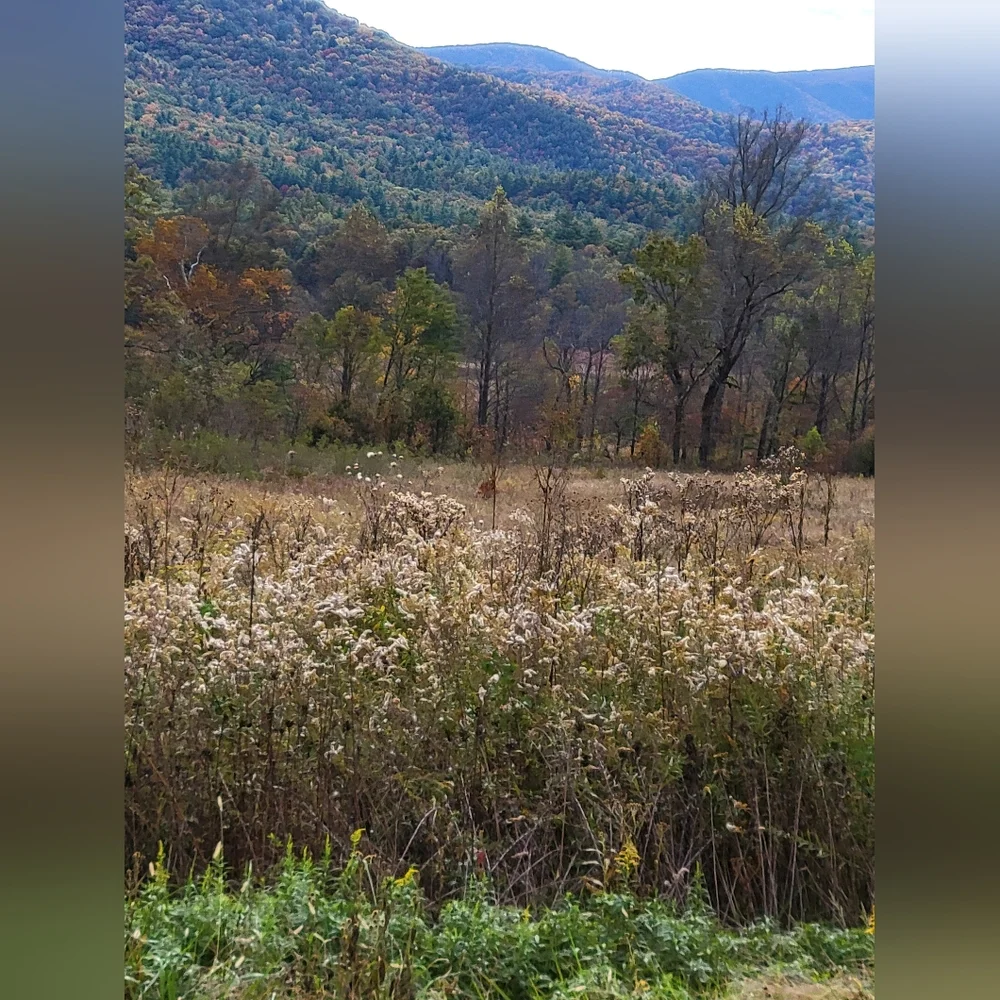 Welcome! - Picture 7 of 11